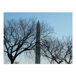 Poster Monument de Washington dans le paysage d'hiver I