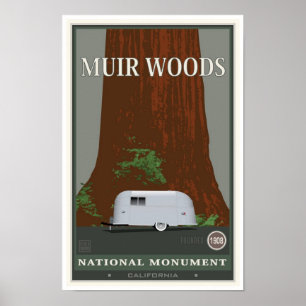 Poster Monument national 1 en bois de Muir