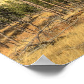 Poster Monument national de Devils (Coin)