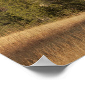 Poster Monument national de Devils (Coin)