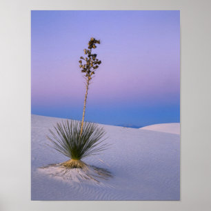 POSTER MONUMENT NATIONAL DE WHITE SANDS, NOUVEAU-MEXIQUE.