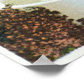 Poster Monument Trudeau, scène du sanatorium Trudeau (Coin)