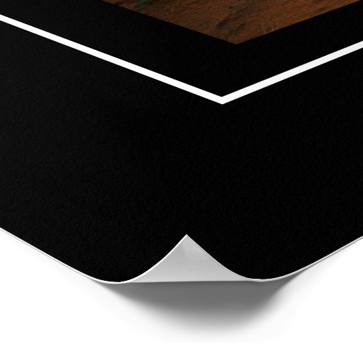 Poster Monument Valley (Coin)