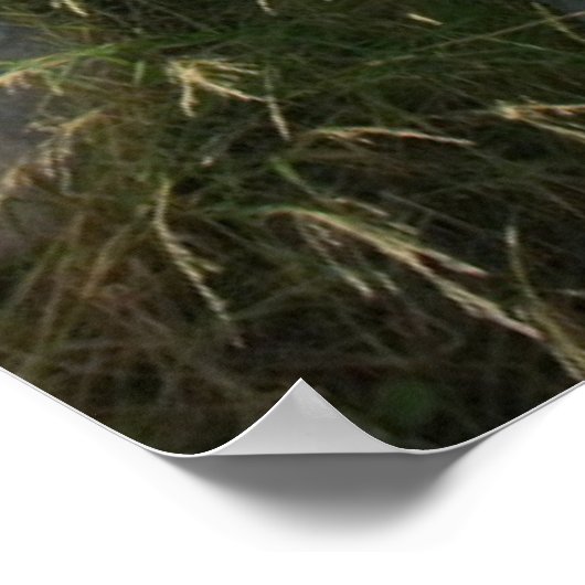 Poster Monuments | Parthenon Athens, Greece (Coin)