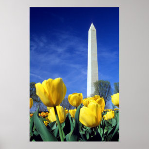 Poster Monuments Washington Monument in Spring
