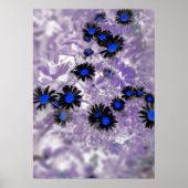 Poster Moody Abstrait Black & Blue Daisy sur Purple Plant (Devant)