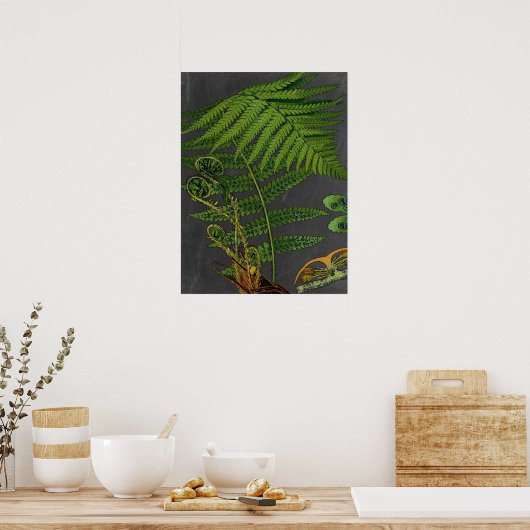 Poster Moody Art Fern avec Arrière - plan Chalkboard no 8 (Cuisine)