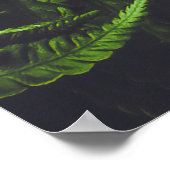 Poster Moody Dark Green Fern Leaves Botanical Nature (Coin)
