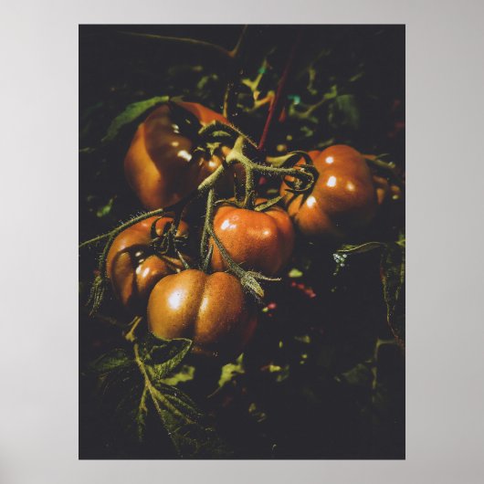 Poster Moody Rustic Tomatoes Vintage Farmhouse Kitchen (Devant)