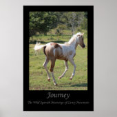 poster "Moon Dancer" - Reis (Voorkant)