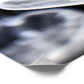 Poster Moon Jellyfish (Coin)