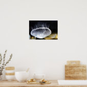 Poster Moon Jellyfish (Cuisine)