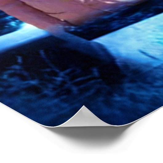 Poster moon light Baba (Coin)