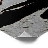 Poster Moon Rover (Coin)