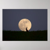 Poster Moongazer (Devant)