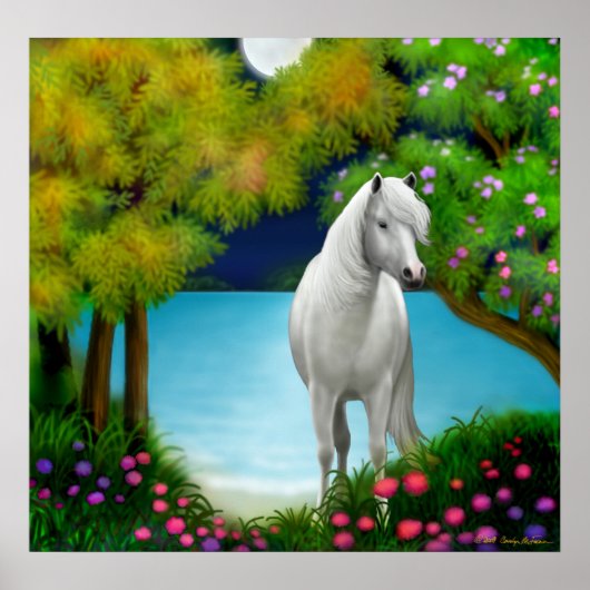 Poster Moonlight (Devant)