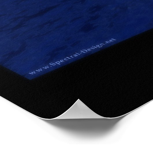 Poster Moonlight Ocean - Edition spéciale (Coin)