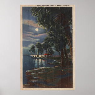 Poster Moonlight on a Florida BeachFlorida