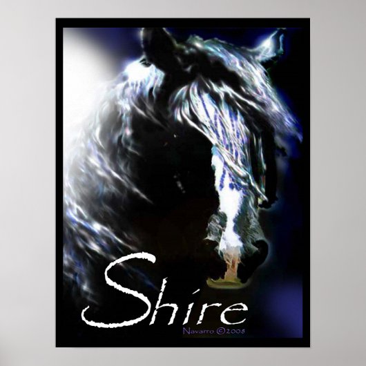 Poster MOONLIGHT SHIRE (Devant)