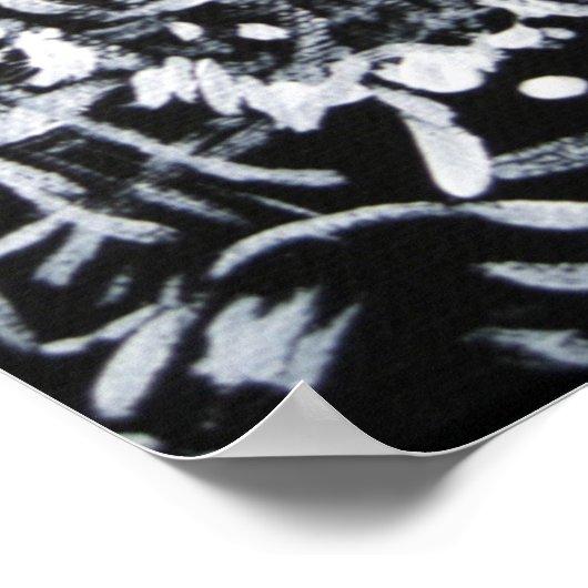 Poster Moonshiner (Coin)