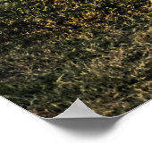 Poster Moonwalk du Mississippi (Coin)