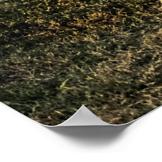 Poster Moonwalk du Mississippi (Coin)