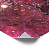 Poster Moorish Idol and Wrasse (Coin)