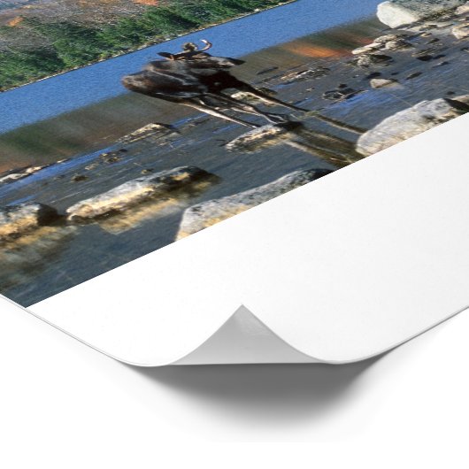 Poster Moose à Sandy Stream Pond (Coin)