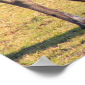 Poster Moose dit "Fromage" (Coin)