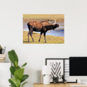 Poster Moose dit "Fromage" (Bureau à domicile)
