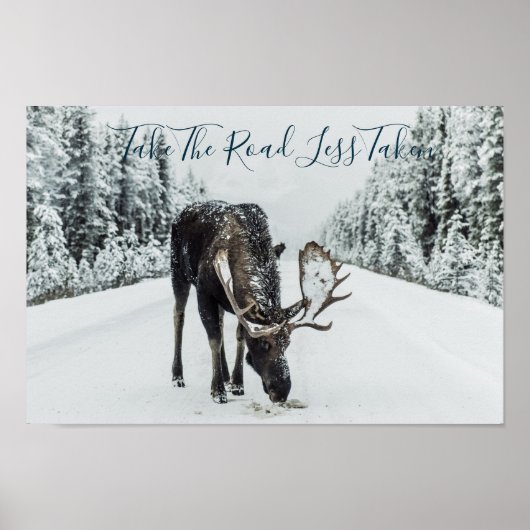 Poster Moose En Hiver Sur Route Avec Devis (Devant)