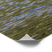 Poster Moose Feeding in Glacier National Park, Montana (Coin)