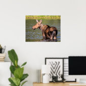 Poster Moose Feeding in Glacier National Park, Montana (Bureau à domicile)