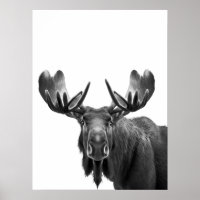 Moose Modern Portrait noir blanc