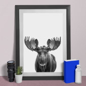 Poster Moose Modern Portrait noir blanc