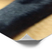 Poster Mops (Coin)