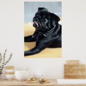Poster Mops (Cuisine)
