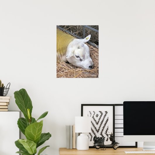 POSTER MOQUETTE (Bureau à domicile)