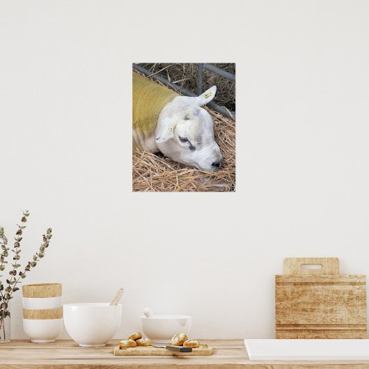 POSTER MOQUETTE (Cuisine)