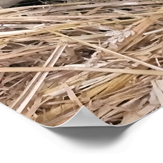 POSTER MOQUETTE (Coin)