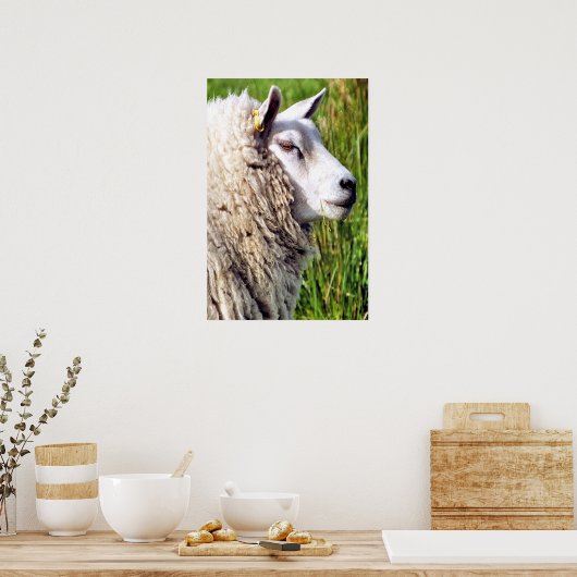 POSTER MOQUETTE (Cuisine)