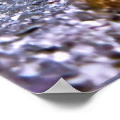 Poster Moray et ses amis (Coin)