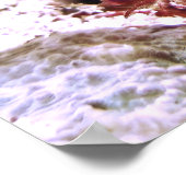 Poster Moray Portrait (Coin)