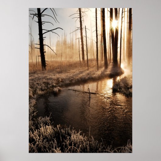 Poster Morceau de Yellowstone gelé (Devant)