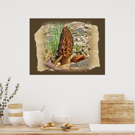 Poster Morel Mushroom (Cuisine)