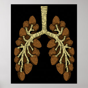 Poster Morel Mushroom