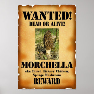 Poster Morel - Recherché mort ou vivant