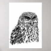 Poster Morepork (Devant)
