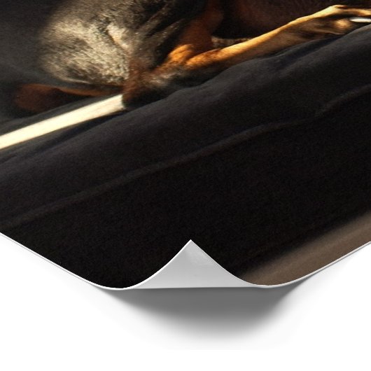 Poster Morgan (Coin)