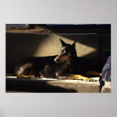 Poster Morgan (Devant)